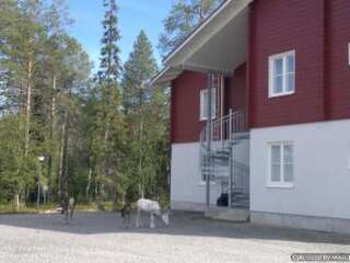 Дома для отпуска Holiday Home Yllästar 3 as 516 Экясломполо Дом для отпуска-6